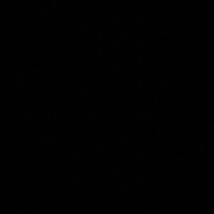 Meet your Posher, Nicholas